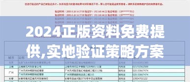 2024正版資料免費提供,實地驗證策略方案_suite7.826