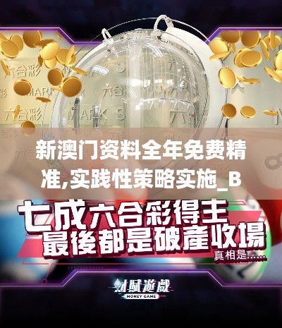 新澳門資料全年免費精準,實踐性策略實施_BT16.341