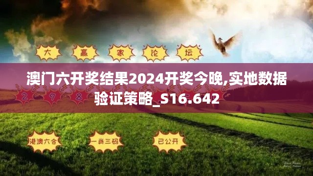 澳門六開獎結果2024開獎今晚,實地數據驗證策略_S16.642