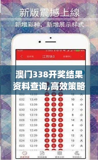 澳門338開獎結果資料查詢,高效策略實施_黃金版110.357