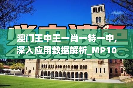 澳門王中王一肖一特一中,深入應用數據解析_MP10.268