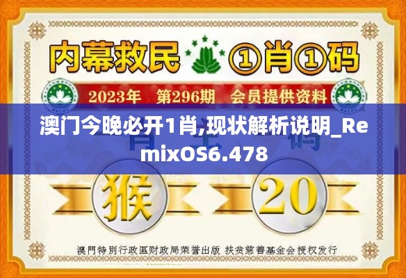 澳門今晚必開1肖,現狀解析說明_RemixOS6.478