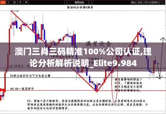 澳門三肖三碼精準100%公司認證,理論分析解析說明_Elite9.984