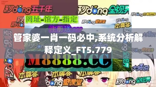 管家婆一肖一碼必中,系統分析解釋定義_FT5.779