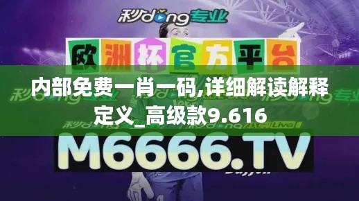 內(nèi)部免費(fèi)一肖一碼,詳細(xì)解讀解釋定義_高級款9.616