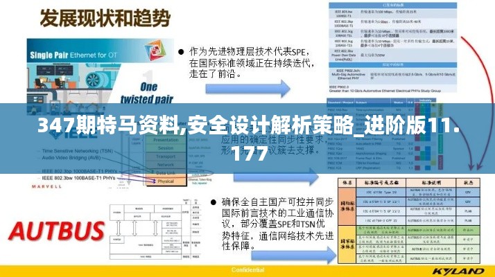 347期特馬資料,安全設計解析策略_進階版11.177