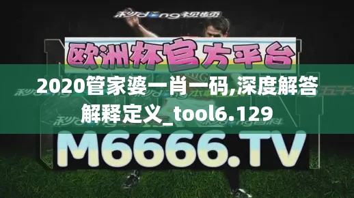 2020管家婆一肖一碼,深度解答解釋定義_tool6.129