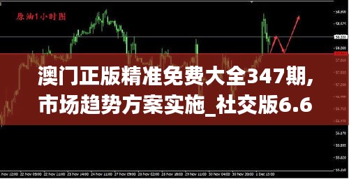 澳門正版精準免費大全347期,市場趨勢方案實施_社交版6.669