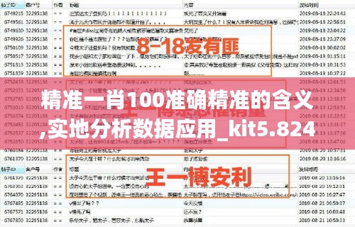 精準一肖100準確精準的含義,實地分析數據應用_kit5.824
