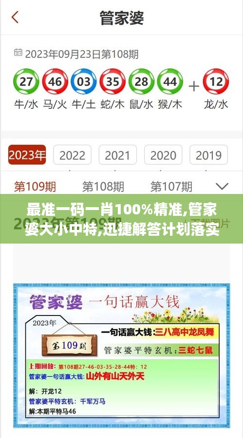 最準一碼一肖100%精準,管家婆大小中特,迅捷解答計劃落實_N版9.733