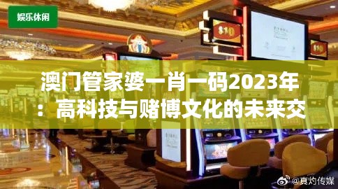 澳門管家婆一肖一碼2023年：高科技與賭博文化的未來交匯