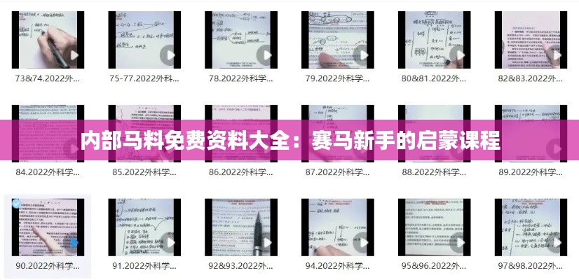 內部馬料免費資料大全：賽馬新手的啟蒙課程