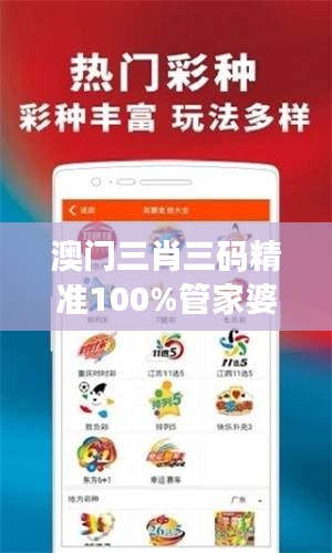 澳門三肖三碼精準(zhǔn)100%管家婆：命中率與風(fēng)險控制的藝術(shù)