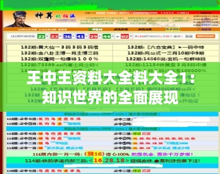 王中王資料大全料大全1：知識世界的全面展現