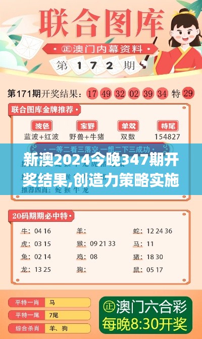 新澳2024今晚347期開獎結果,創造力策略實施推廣_精英版2.658