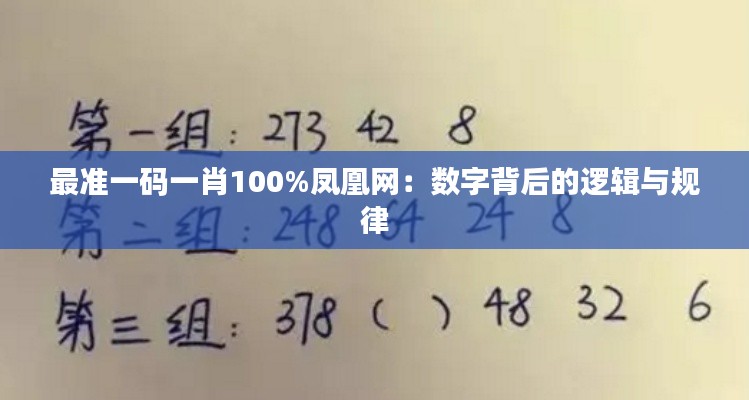 最準一碼一肖100%鳳凰網：數字背后的邏輯與規律