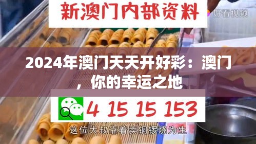 2024年澳門天天開好彩：澳門，你的幸運之地