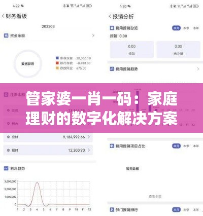 管家婆一肖一碼：家庭理財的數字化解決方案