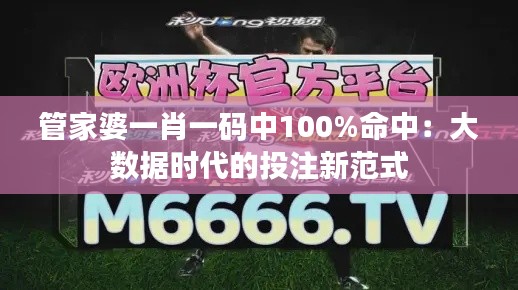 管家婆一肖一碼中100%命中：大數(shù)據(jù)時代的投注新范式