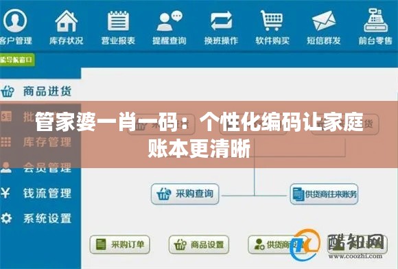 管家婆一肖一碼：個性化編碼讓家庭賬本更清晰