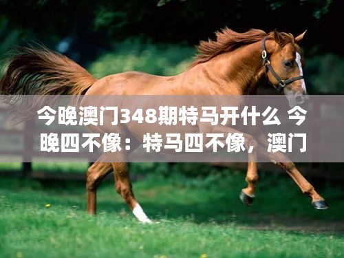 今晚澳門348期特馬開什么 今晚四不像：特馬四不像，澳門特馬的未知之旅