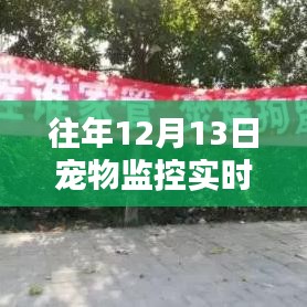 科技護航寵物安全，實時大屏監控開啟新時代寵物監控新篇章