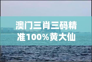 澳門三肖三碼精準100%黃大仙348期：揭開概率的面紗
