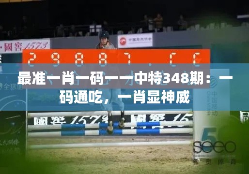 最準(zhǔn)一肖一碼一一中特348期：一碼通吃，一肖顯神威