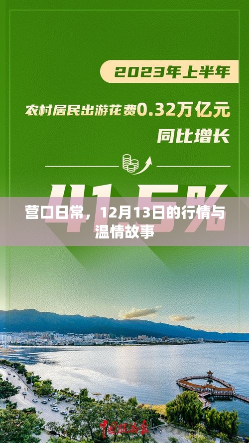 營口日常，12月13日的行情概覽與溫情瞬間
