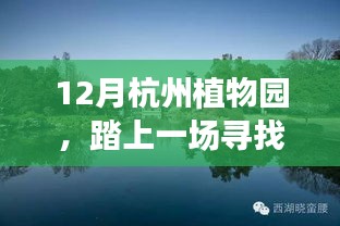 杭州植物園踏冬之旅，尋找內心的綠色寧靜