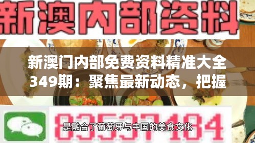 新澳門內部免費資料精準大全349期：聚焦最新動態，把握投資先機