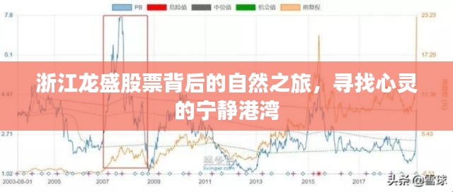 浙江龍盛股票背后的自然之旅，探尋心靈寧靜港灣的旅程