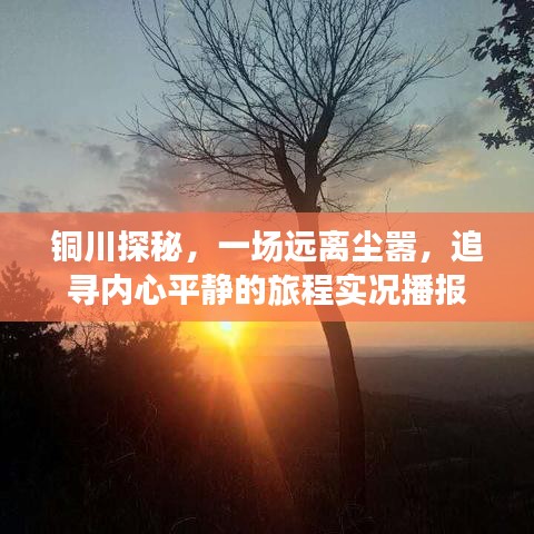 舉世無雙 第2頁