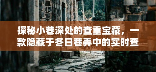 小巷深處的查重寶藏，實時查重軟件下載指南