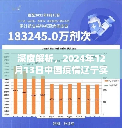 獨(dú)家深度解析，2024年12月13日中國(guó)遼寧疫情實(shí)時(shí)數(shù)據(jù)圖解析