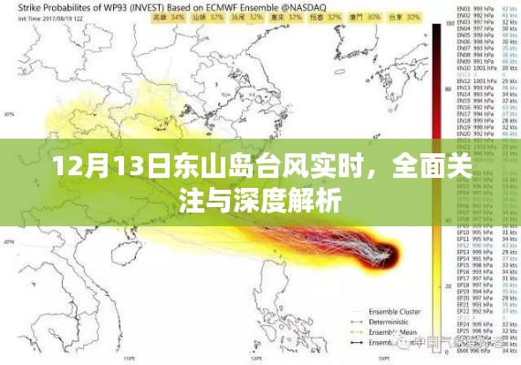 東山島臺(tái)風(fēng)最新動(dòng)態(tài)，全面關(guān)注與深度解析（12月13日實(shí)時(shí)更新）