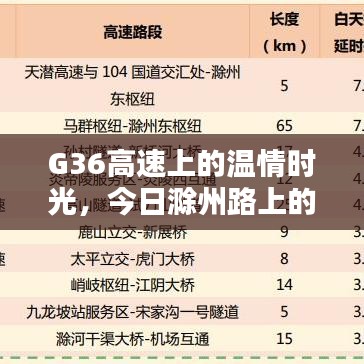G36高速上的溫情時光與滁州路上的奇遇伴侶