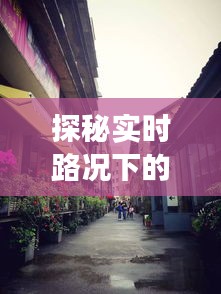 山東至深圳高速之旅，實時路況探秘與小巷美食奇遇