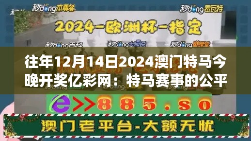 往年12月14日2024澳門特馬今晚開獎億彩網：特馬賽事的公平與公正