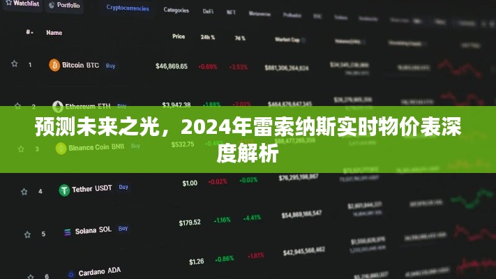 2024雷索納斯實時物價表深度解析，預測未來之光