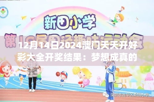12月14日2024澳門天天開(kāi)好彩大全開(kāi)獎(jiǎng)結(jié)果：夢(mèng)想成真的時(shí)刻