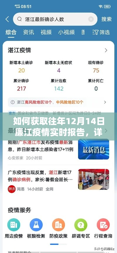 獲取往年廉江疫情實時報告，詳細步驟指南（以12月14日為例）