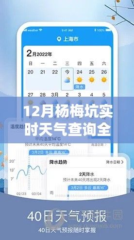 12月楊梅坑實時天氣查詢攻略，教你如何獲取精準天氣信息