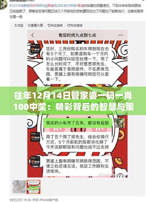 往年12月14日管家婆一碼一肖100中獎：精彩背后的智慧與策略