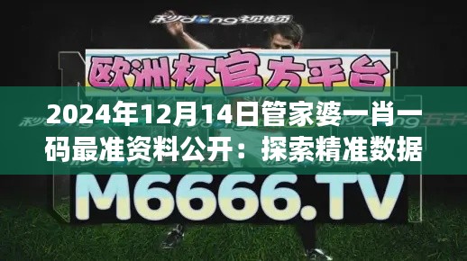 2024年12月14日管家婆一肖一碼最準資料公開：探索精準數據的力量