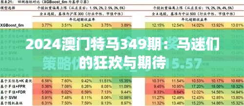 2024澳門特馬349期：馬迷們的狂歡與期待