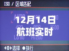 全面評測與深度解析，12月14日航班同行人行程實時查詢解析報告