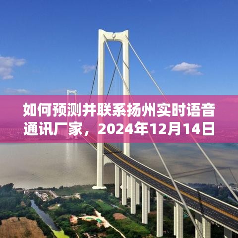 指南，如何預(yù)測并聯(lián)系揚州實時語音通訊廠家——2024年12月14日攻略