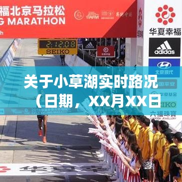 XX月XX日小草湖實時路況深度分析與交通報告解讀