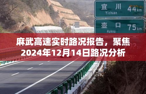 麻武高速實時路況報告，聚焦最新路況分析與評估（XXXX年XX月XX日）